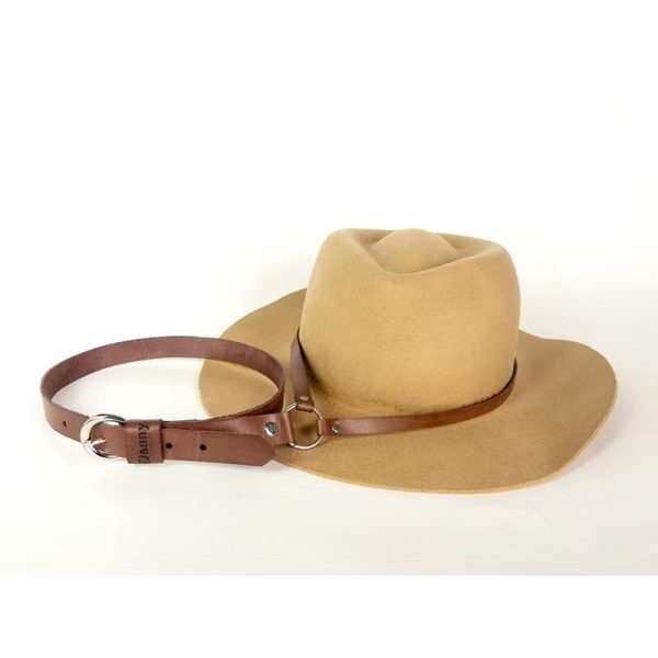 cowboy hat rack for truck